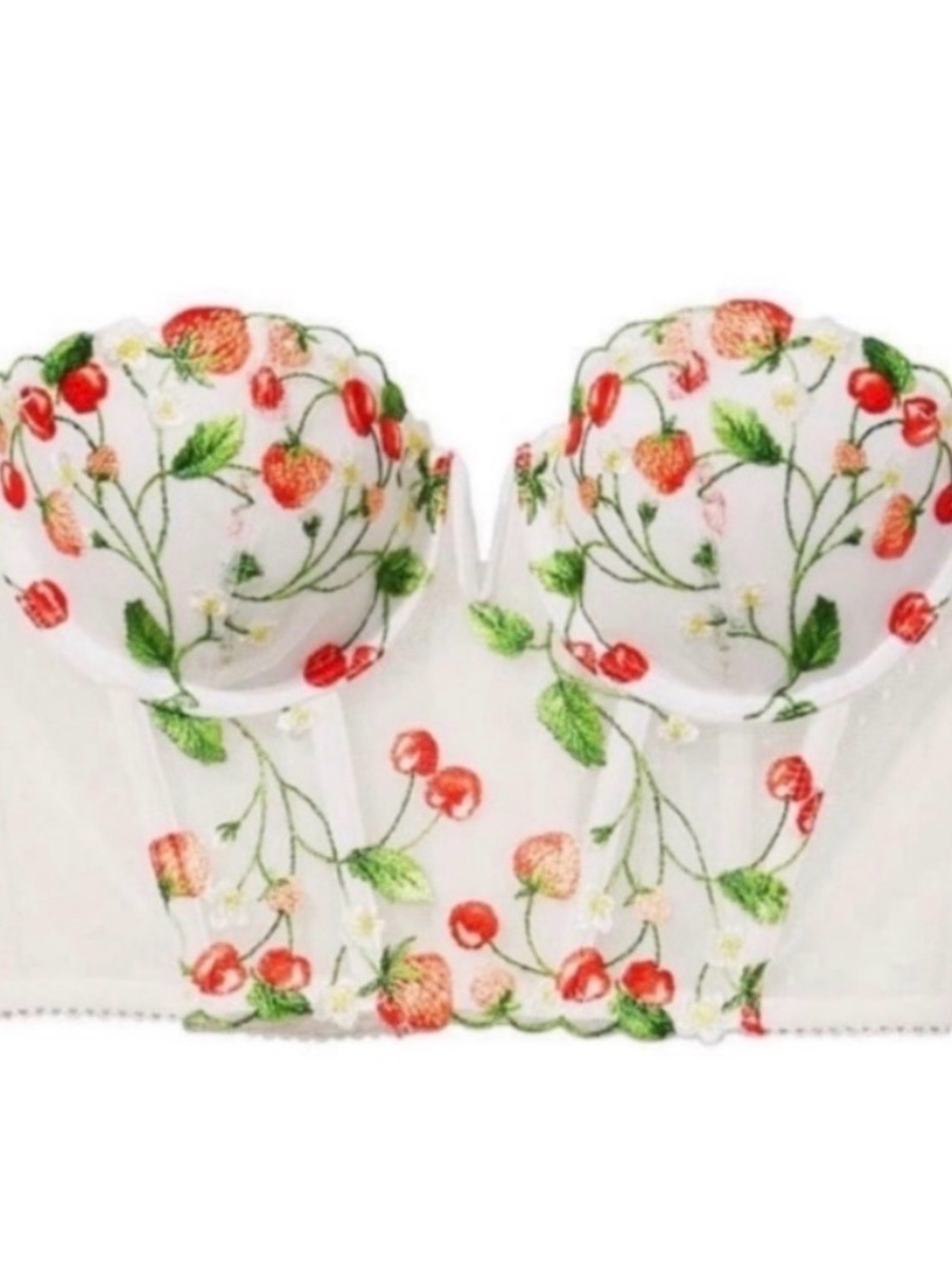 NWT Victoria’s Secret Strawberry Embroidery Corset Top